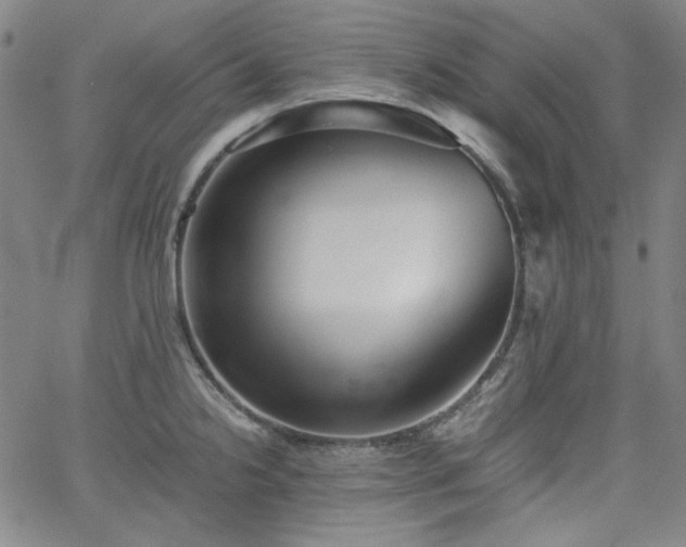 X0000058821238200510031312