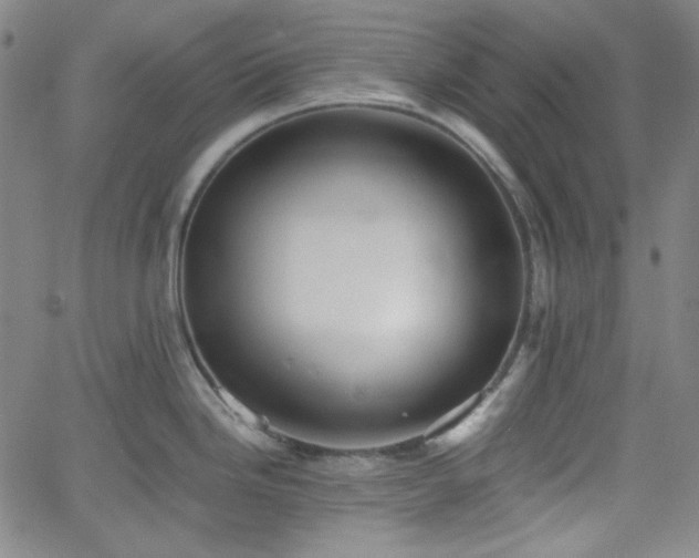 X0000058821246200510031313