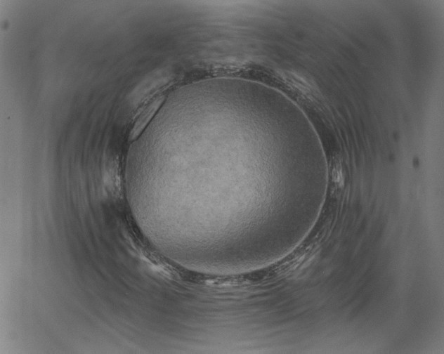 X0000058821252200510031312