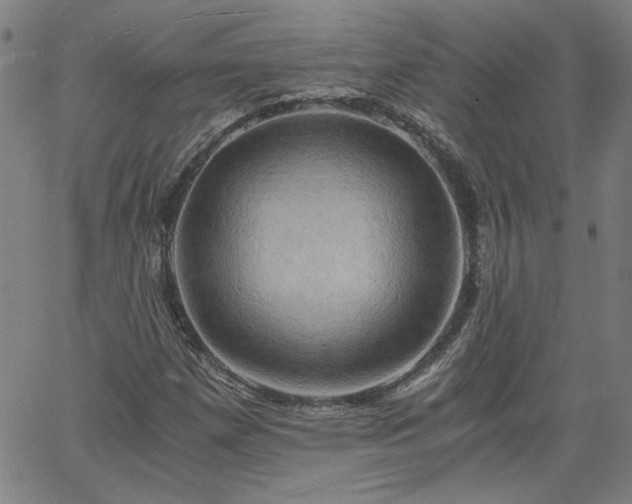 X0000058821257200510031312