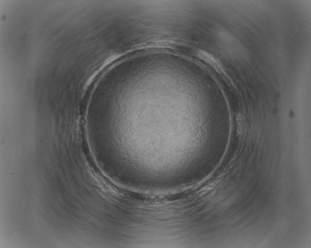 X0000058821260200510031312