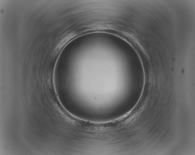 X0000058821273200510031311
