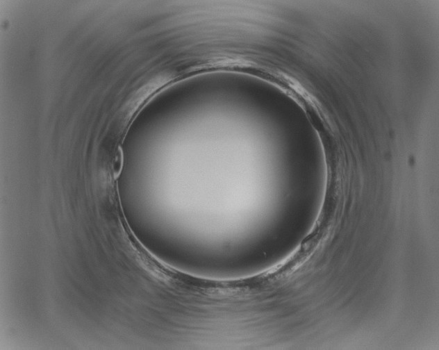 X0000058821281200510031311