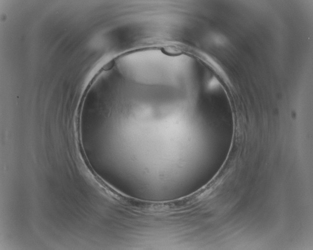 X0000058821291200510031311