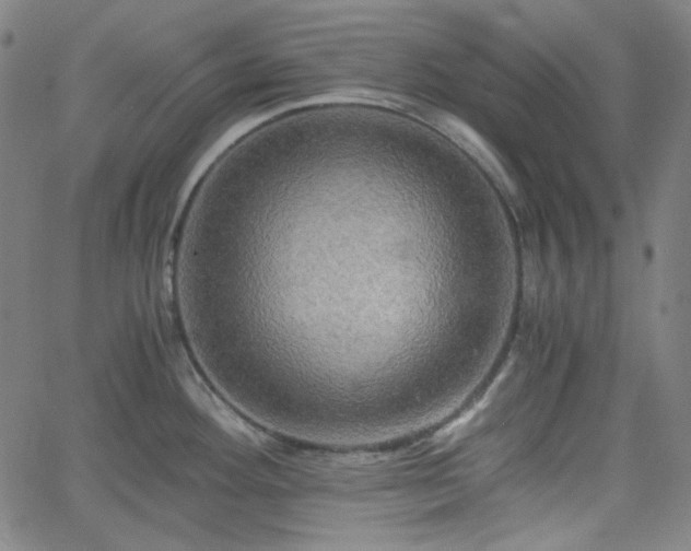 X0000058821292200510031311