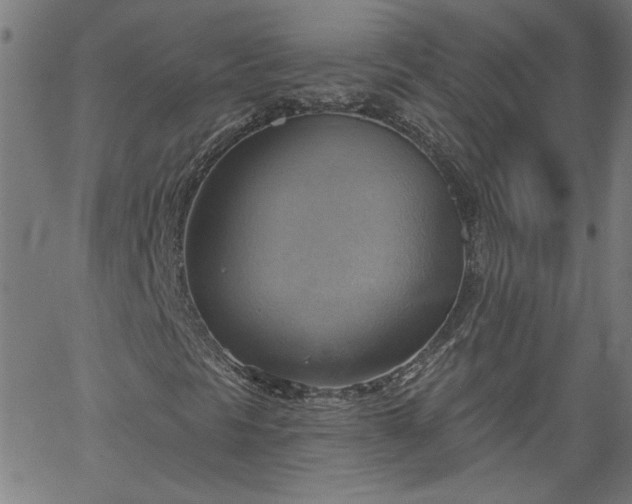 X0000058821297200510031310