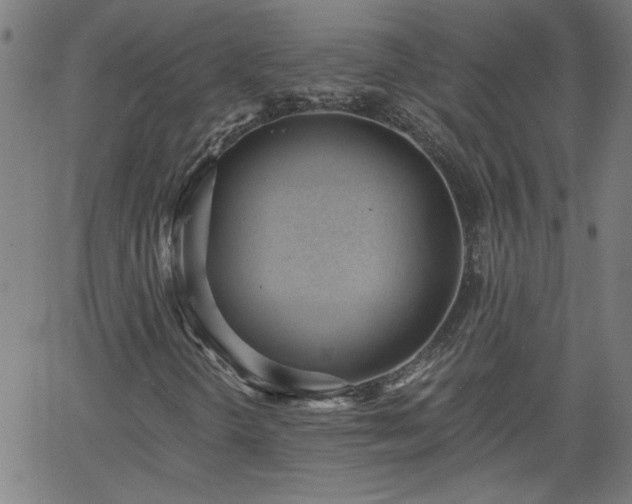 X0000058821298200510031310