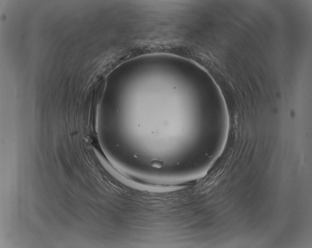 X0000058821300200510031310