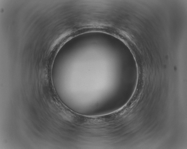 X0000058821307200510031310