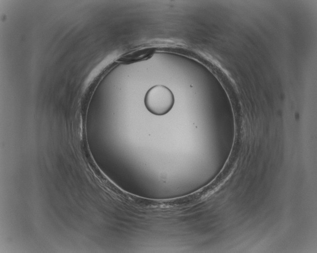 X0000058821317200510031311