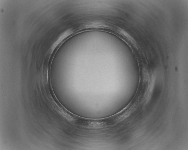 X0000058821322200510031311