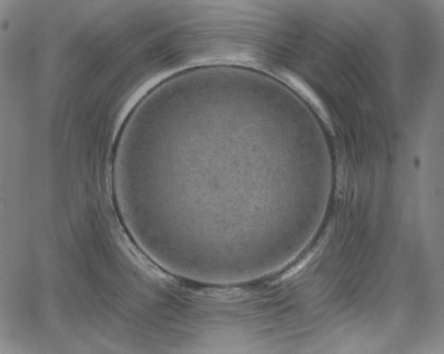 X0000058821340200510031311