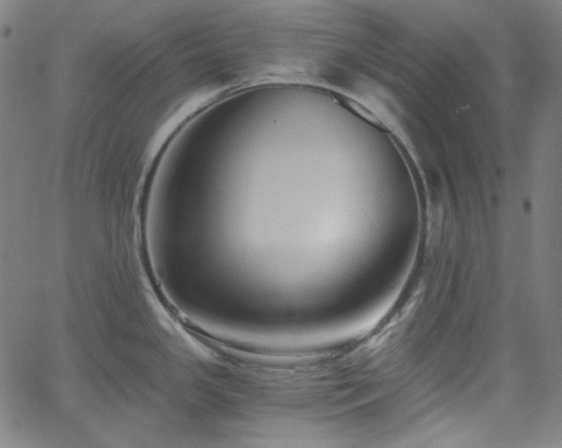 X0000058821341200510031311