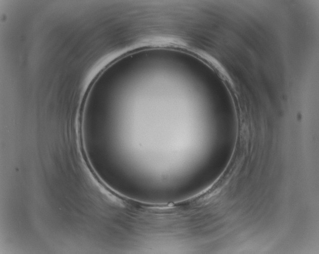 X0000058821343200510031311