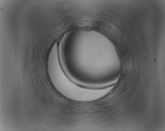 X0000058821345200510031310