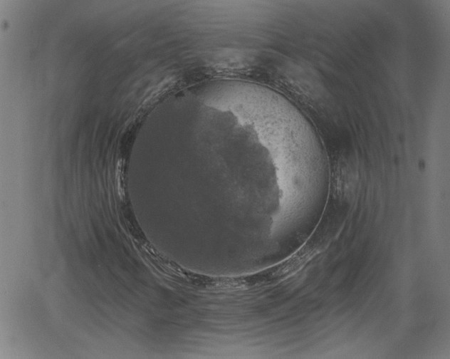 X0000058821346200510031310
