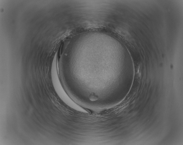 X0000058821348200510031310