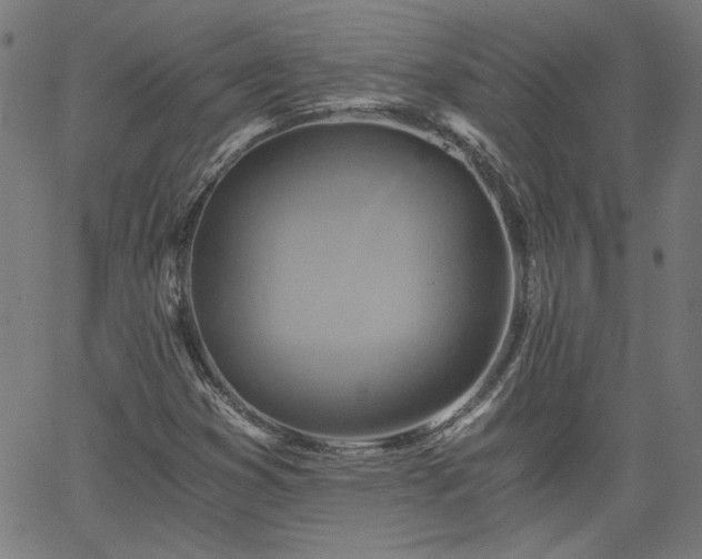 X0000058821353200510031310
