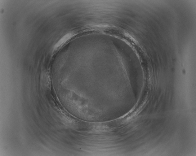 X0000058821354200510031310