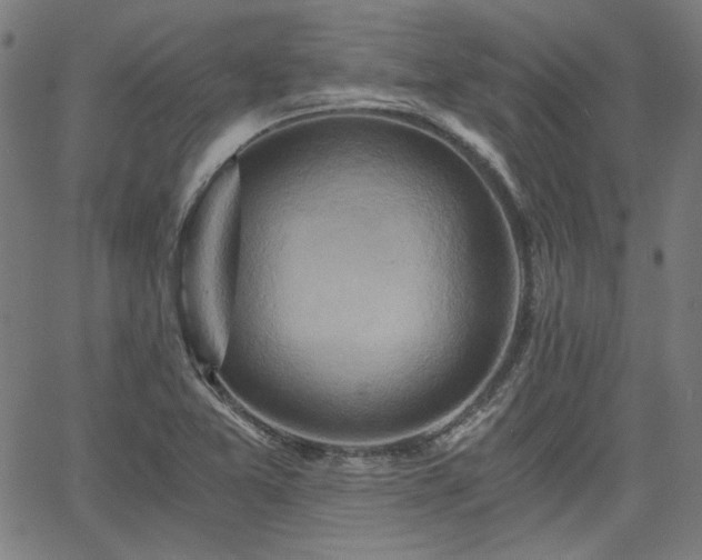 X0000058821365200510031310