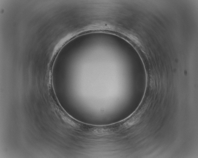 X0000058821366200510031310