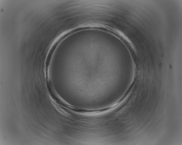 X0000058821372200510031310