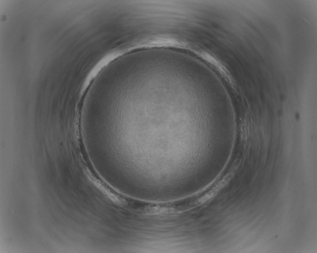 X0000058821374200510031310