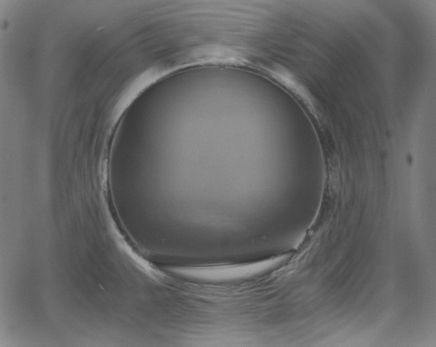 X0000058821383200510031310