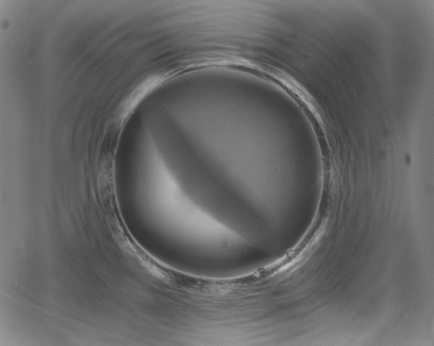 X0000058821385200510031310