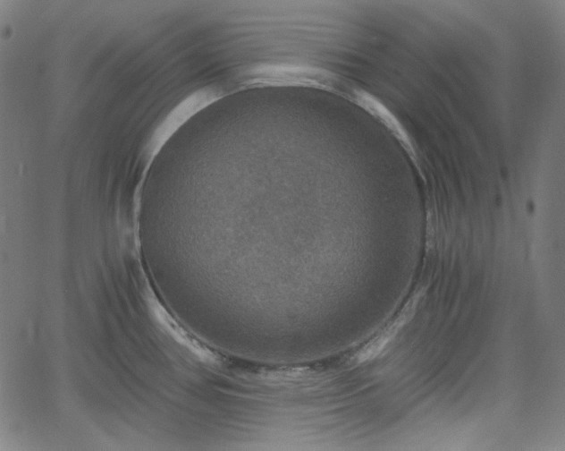 X0000058821386200510031310