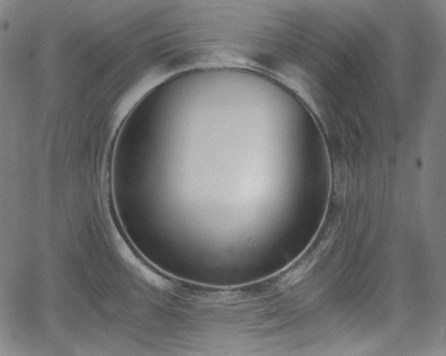 X0000058821387200510031309