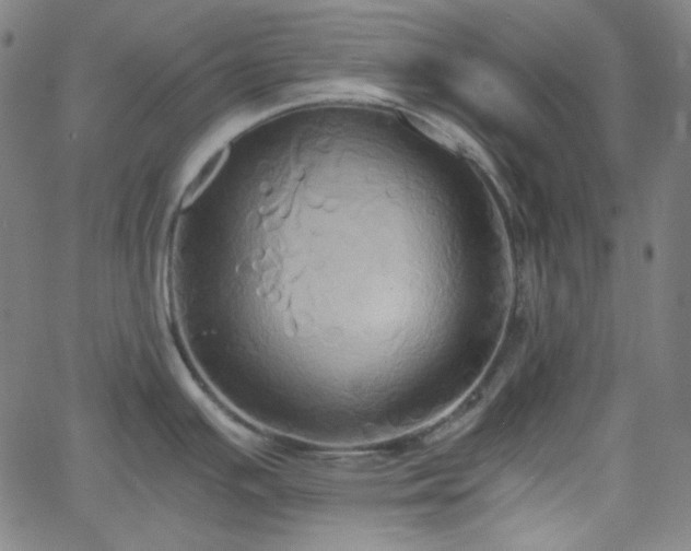 X0000058821391200510031309