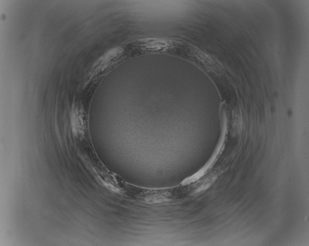 X0000058821394200510031309