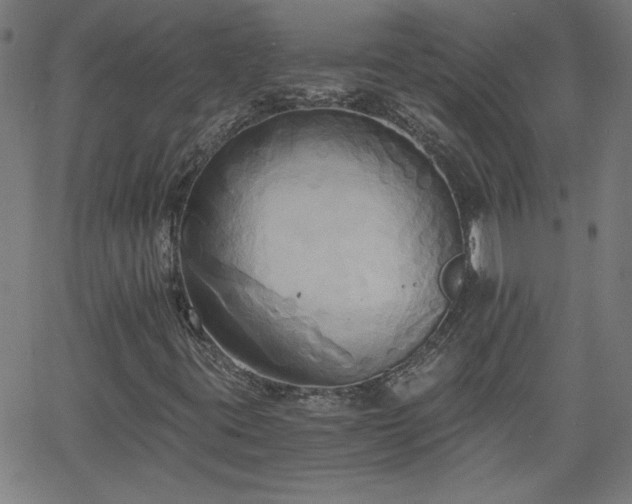 X0000058821395200510031309
