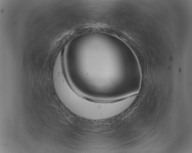 X0000058821398200510031309