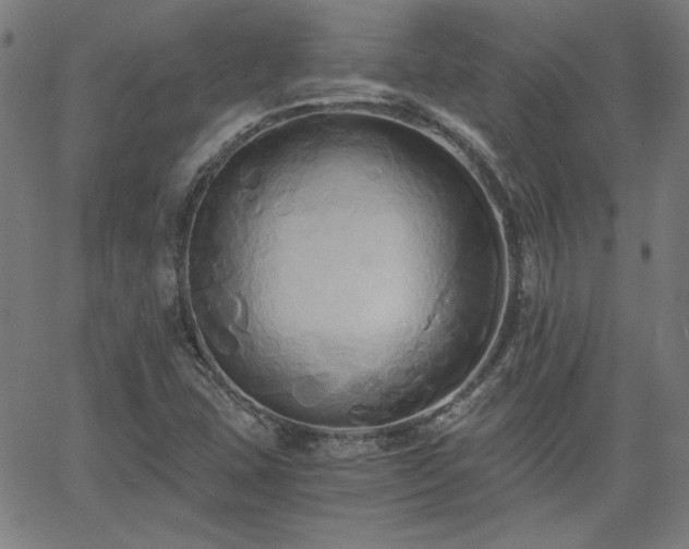 X0000058821407200510031309