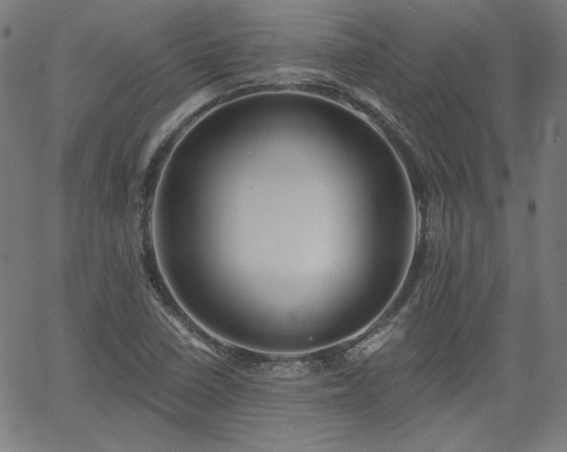 X0000058821410200510031309