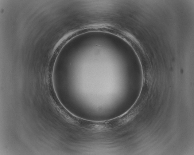 X0000058821412200510031309