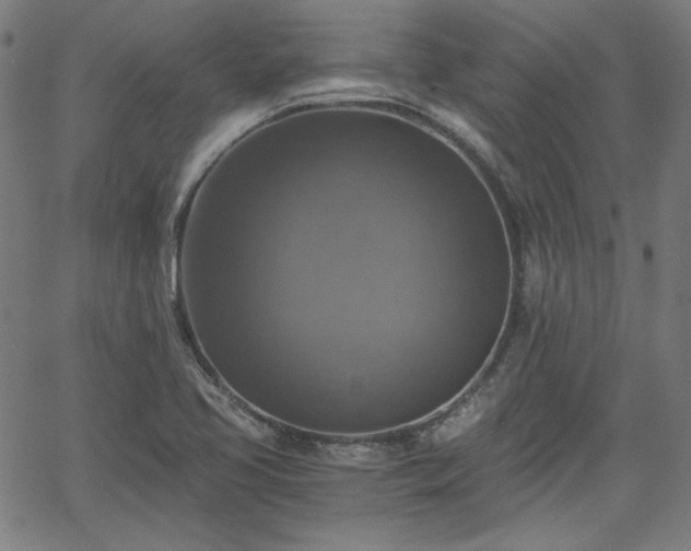 X0000058821413200510031309
