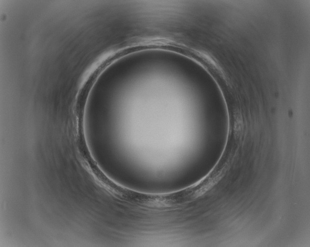 X0000058821414200510031309