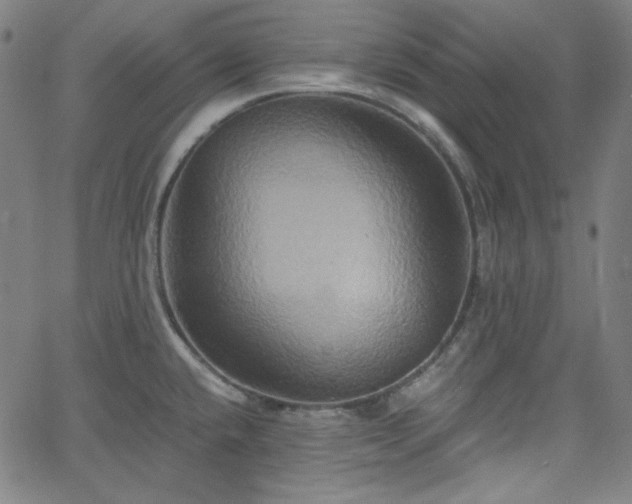 X0000058821432200510031309