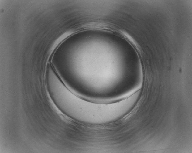 X0000058821434200510031309