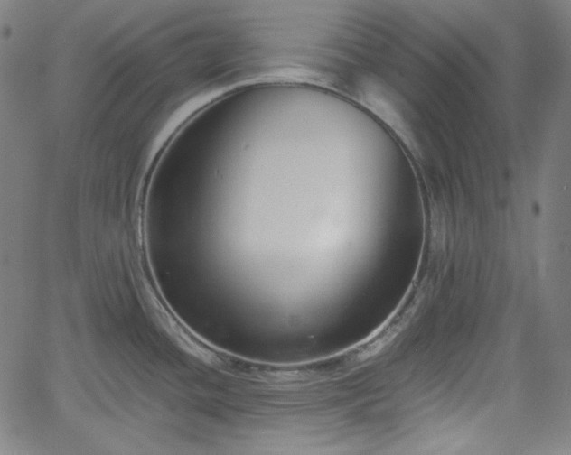 X0000058821436200510031309
