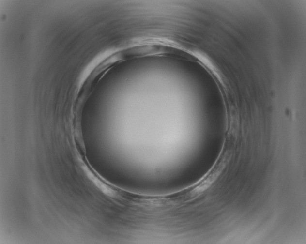 X0000058821438200510031309