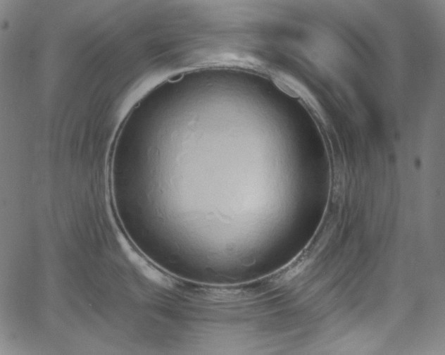 X0000058821439200510031309