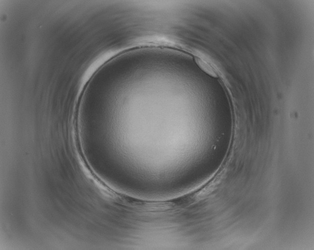X0000058821440200510031309