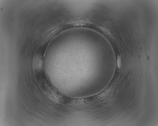 X0000058821444200510031309