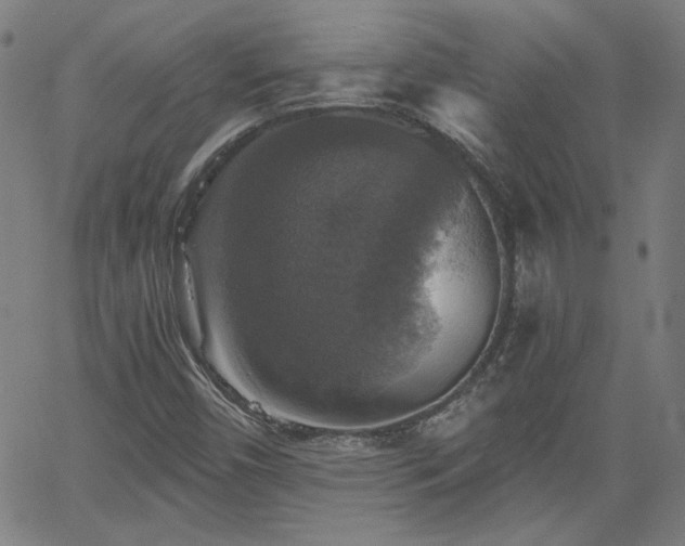X0000058821450200510031308