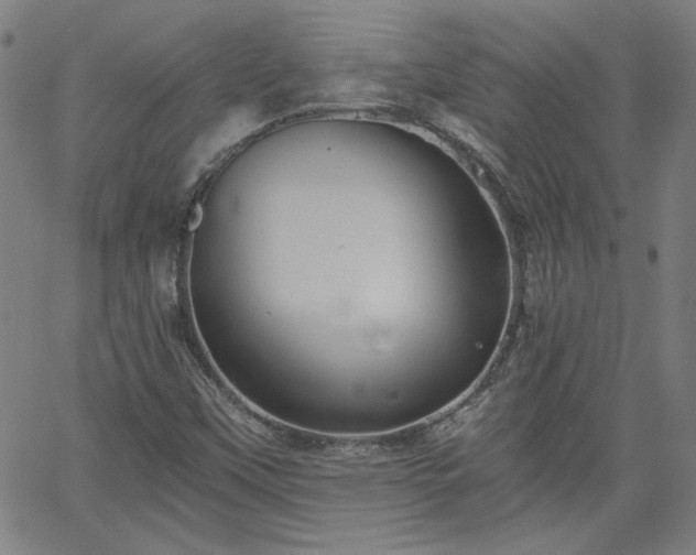 X0000058821451200510031308