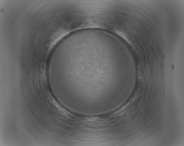 X0000058821452200510031308